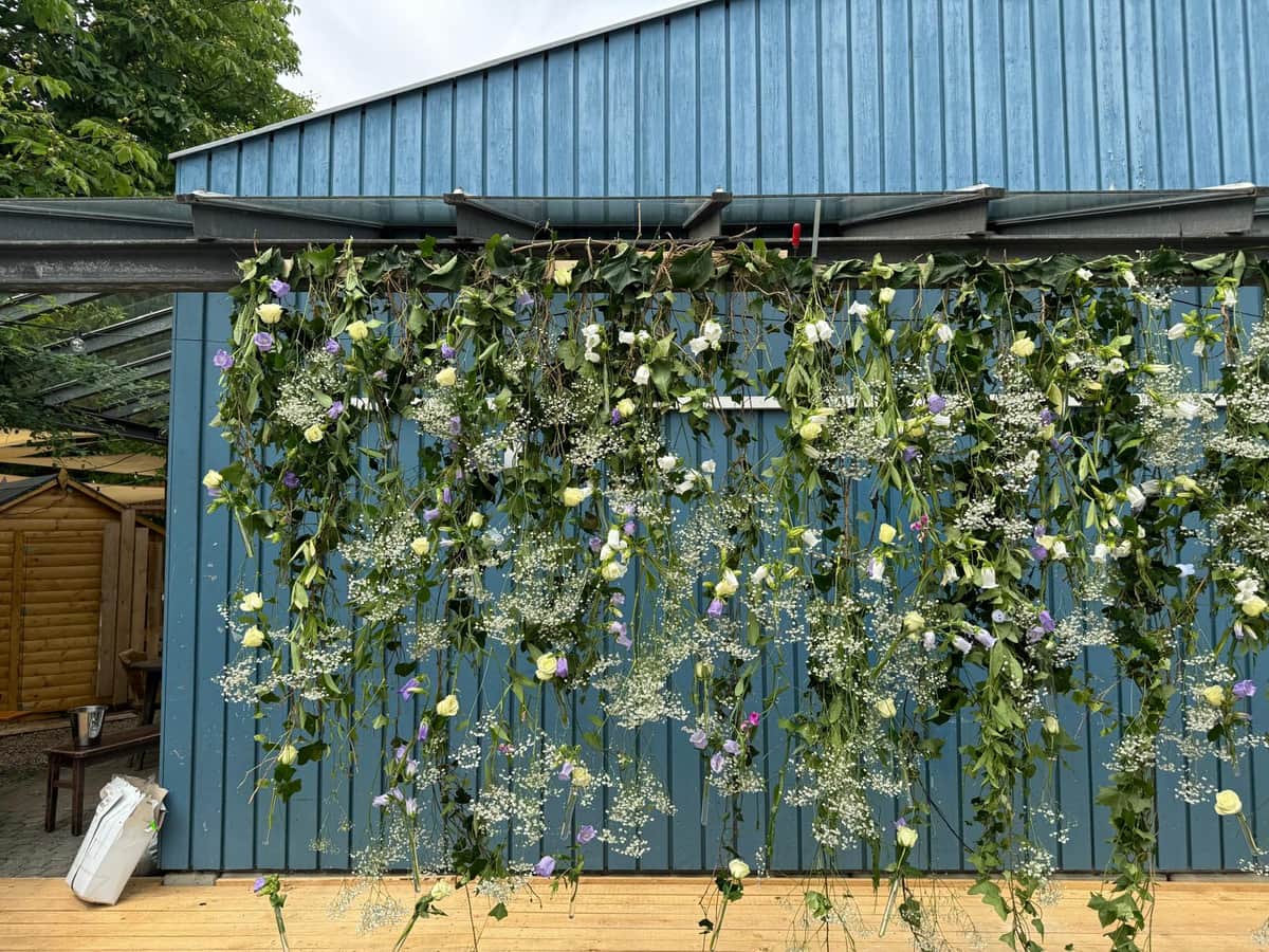 Haengende Blumeninstallation mit Rosen und Schleierkraut an Holzwand