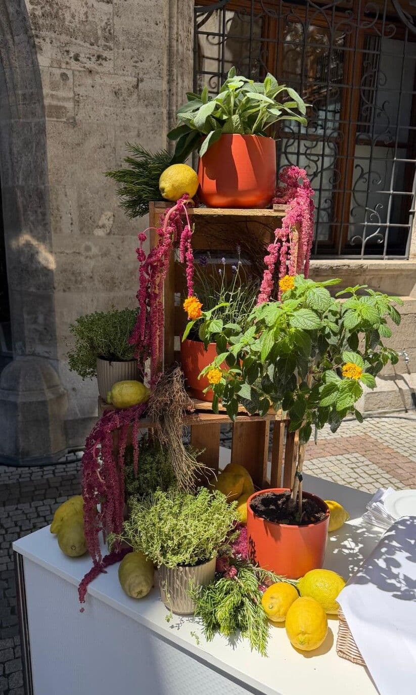 Mediterrane Blumeninstallation mit Kräutern und Zitronen beim Sommerevent im Münchner Rathaus