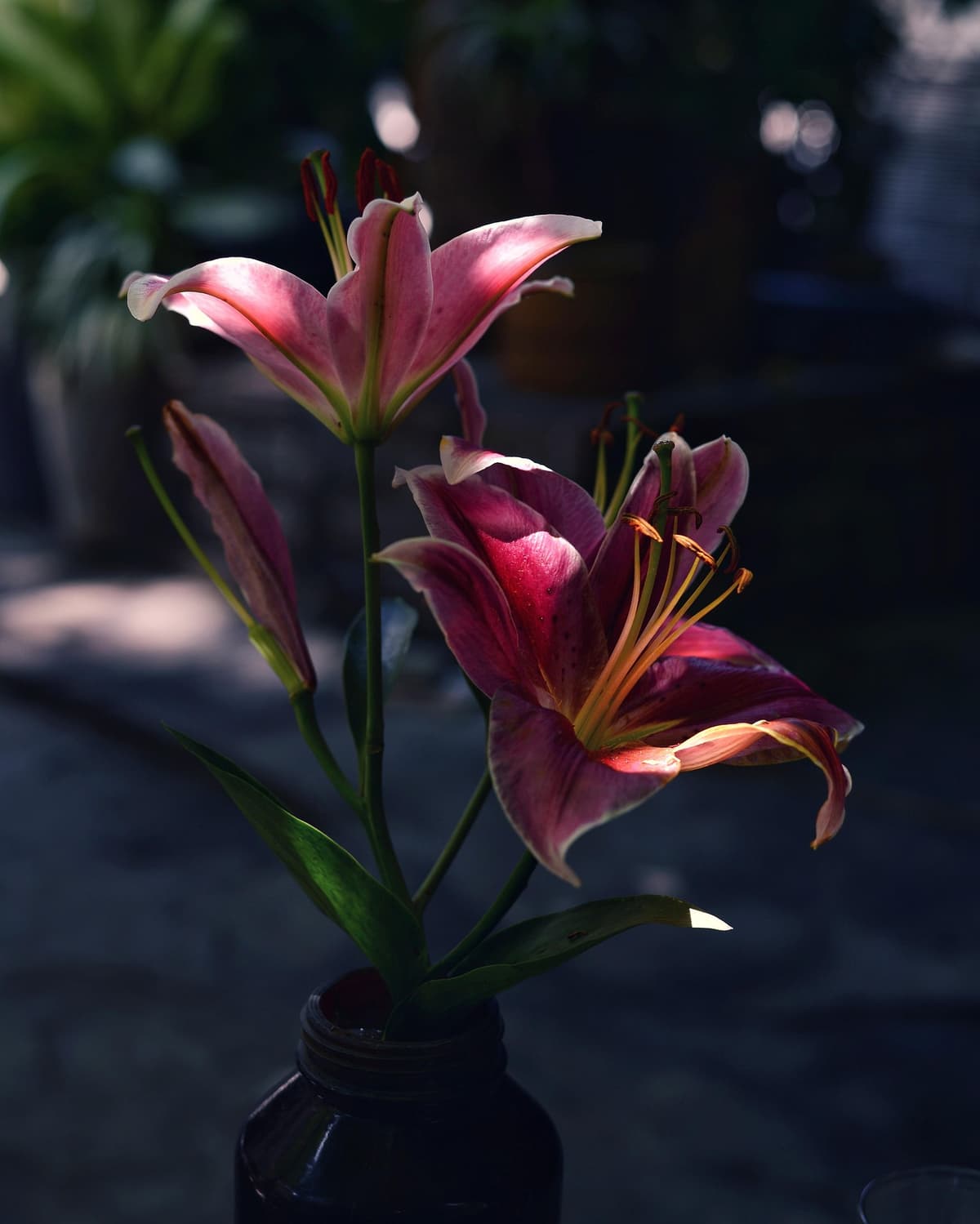 Lilien pflegen - Tipps vom Münchner Floristen