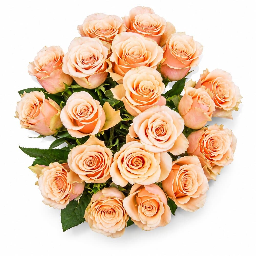 Jill – Rosenstrauß in Creme & Apricot – handgebundener Blumenstrauß vom Floristen München